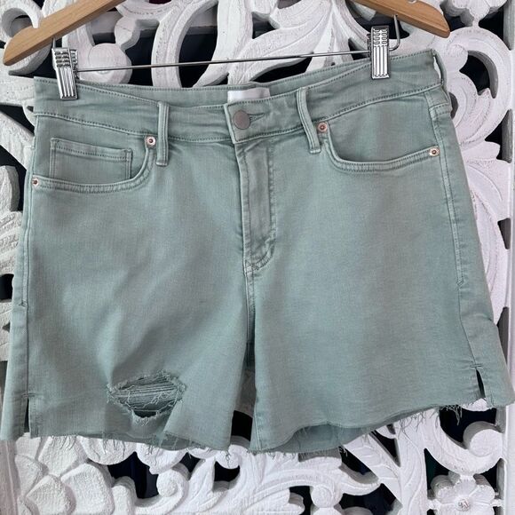 DEAR JOHN DENIM JULIAN HIGH RISE SHORTS CUCUMBER SIZE 30 - Picture 2 of 13